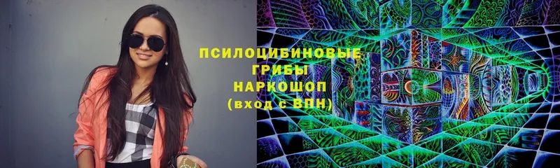 Псилоцибиновые грибы Magic Shrooms  Нелидово 